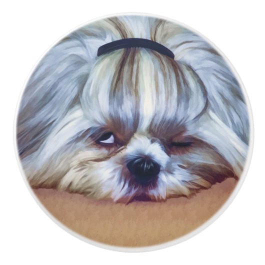 Sleepy Shih Tzu Dog Keramische Knop (Voorkant)