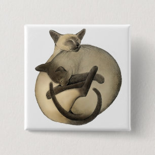 Sleepy Siamese Pin Vierkante Button 5,1 Cm