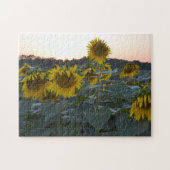 SLEEPY SUNFLOWERS PUZZLE LEGPUZZEL (Horizontaal)