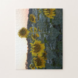 SLEEPY SUNFLOWERS PUZZLE LEGPUZZEL