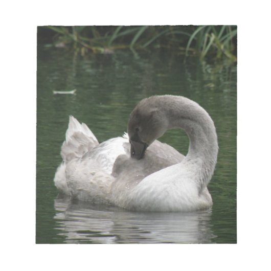 Sleepy Swan-laptop Notitieblok (Voorkant)