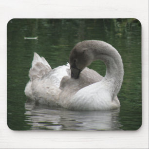 Sleepy Swan Mousepad Muismat