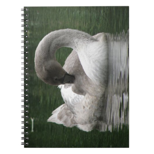 Sleepy Swan Notitieboek (Voorkant)