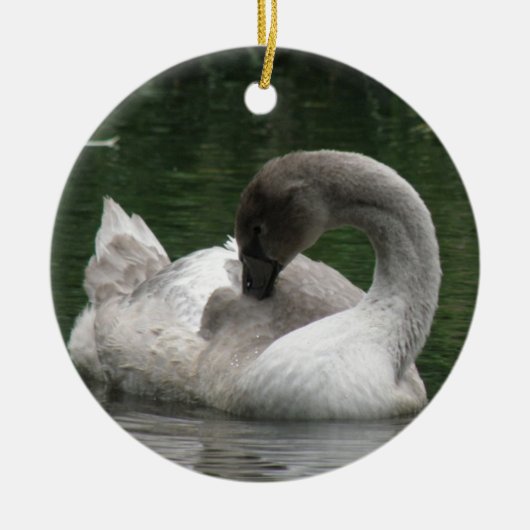 Sleepy Swan Ornament (Voorkant)