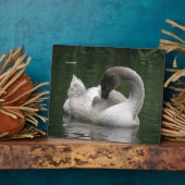 Sleepy Swan Plaque Fotoplaat (Zijkant)