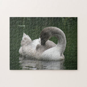 Sleepy Swan Puzzle Legpuzzel