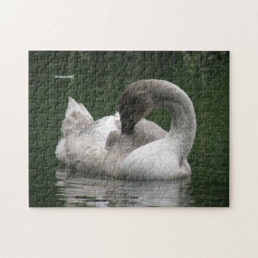 Sleepy Swan Puzzle Legpuzzel (Horizontaal)