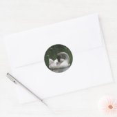 Sleepy Swan Stickers (Envelop)