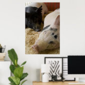 Sleepy Swine Poster (Thuiskantoor)