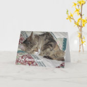 Sleepy Tabby Cat Get Well Greeting Kaart (Gele Bloem)