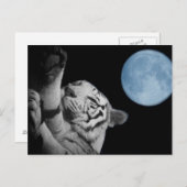 Sleepy Tiger Briefkaart (Voorkant / Achterkant)