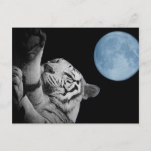 Sleepy Tiger Briefkaart