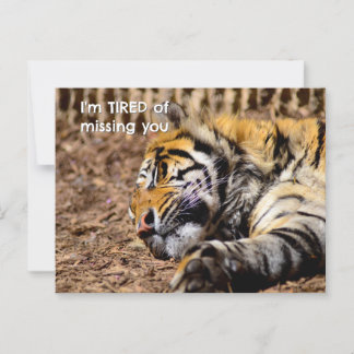 Sleepy Tiger Briefkaart