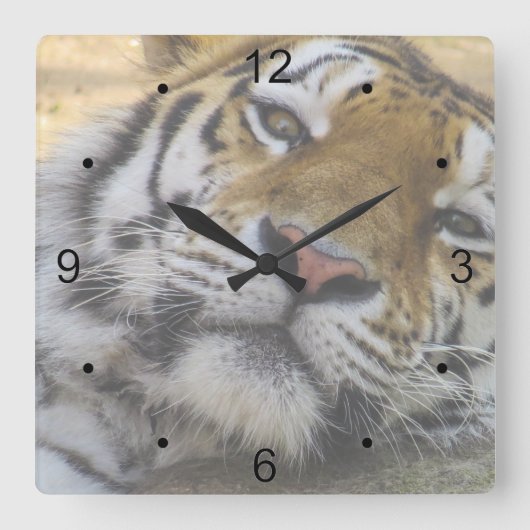 Sleepy Tiger Vierkante Klok (Voorkant)