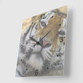 Sleepy Tiger Vierkante Klok (Hoek)