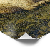 Sleepy Unicorn Antique Mystical Renaissance Italy Perfect Poster (Hoek)