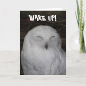 Sleepy White Owl Photo Funny Birthday Kaart (Voorkant)