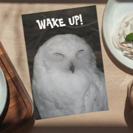 Sleepy White Owl Photo Funny Birthday Kaart