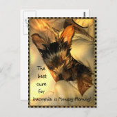 Sleepy Yorkie Briefkaart (Voorkant / Achterkant)