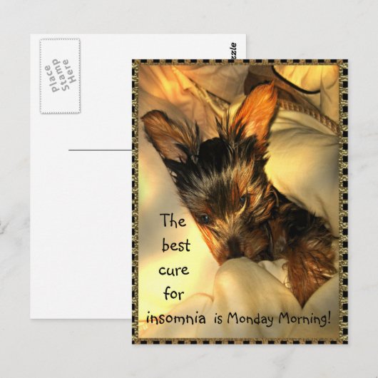 Sleepy Yorkie  Briefkaart (Voorkant / Achterkant)