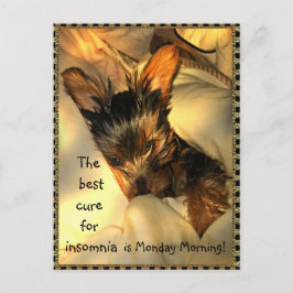 Sleepy Yorkie Briefkaart