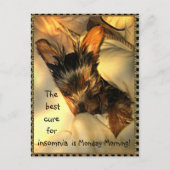 Sleepy Yorkie  Briefkaart (Voorkant)