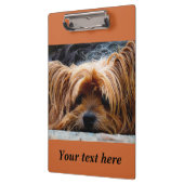 Sleepy Yorkshire Terrier Dog Photo Clipboard Klembord (Links)