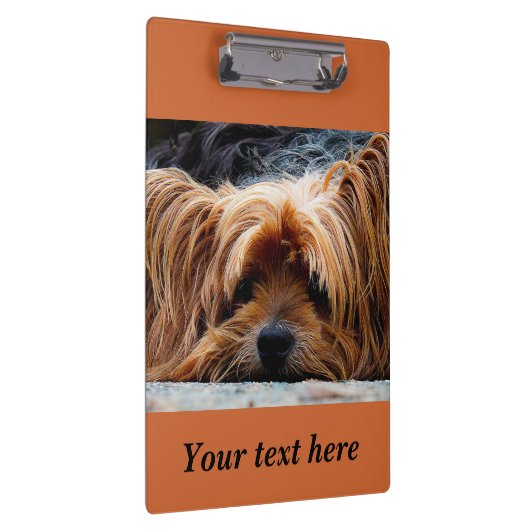Sleepy Yorkshire Terrier Dog Photo Clipboard Klembord (Rechts)