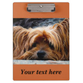 Sleepy Yorkshire Terrier Dog Photo Clipboard Klembord (Voorkant)