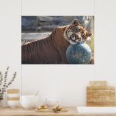 Sleepy Zachariah Poster (Keuken)