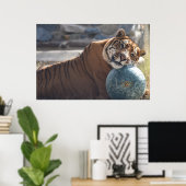 Sleepy Zachariah Poster (Thuiskantoor)