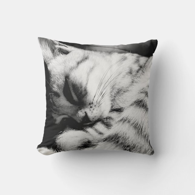 SleepyCat Kissen grau meliert Kussen (Voorkant)