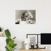 Sleepyhead Main Coon Cat Poster (Thuiskantoor)