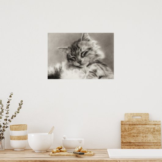 Sleepyhead Main Coon Cat Poster (Keuken)