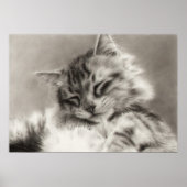 Sleepyhead Main Coon Cat Poster (Voorkant)