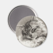Sleepyhead Maine Coon Magnet (Voorkant / Achterkant)