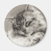 Sleepyhead Maine Coon Magnet (Voorkant)