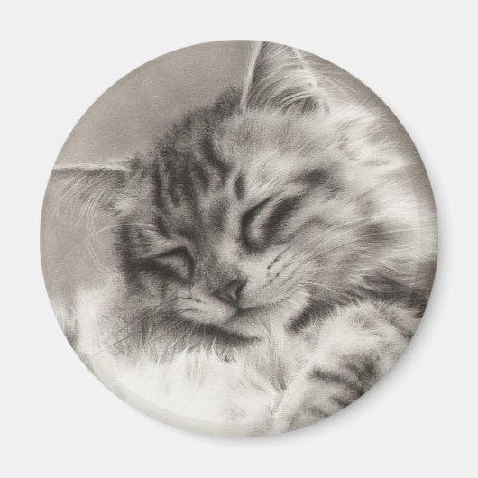 Sleepyhead Maine Coon Magnet (Voorkant)