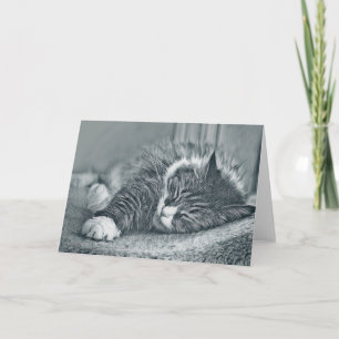 Sleepytime Siberische Blank Note Kaart