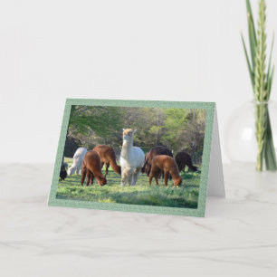 Sleigh Belle kerstkaart Feestdagen Kaart