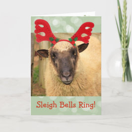 Sleigh Bells Sheep Feestdagen Kaart