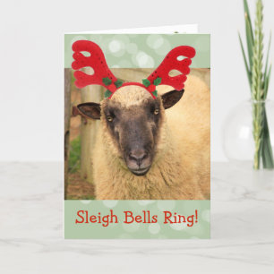 Sleigh Bells Sheep Feestdagen Kaart