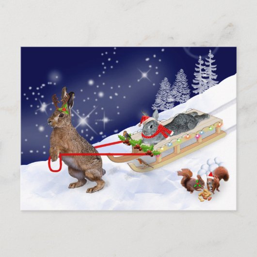 Sleigh Ride Briefkaart (Voorkant)