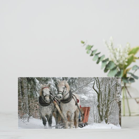 Sleigh Ride in Winter Wonderland (Staand voorkant)