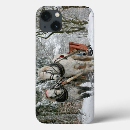 Sleigh Ride in Winter Wonderland Case-Mate iPhone Case (Achterkant)