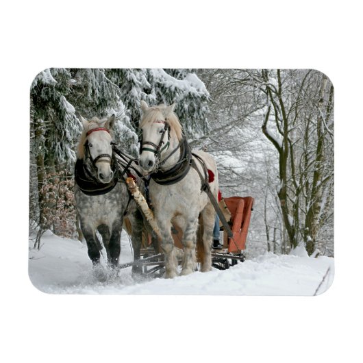 Sleigh Ride in Winter Wonderland Magneet (Horizontaal)