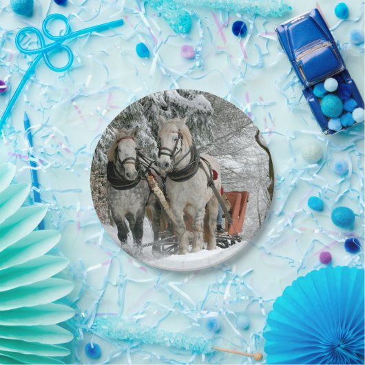 Sleigh Ride in Winter Wonderland Papieren Bordje (Feest)