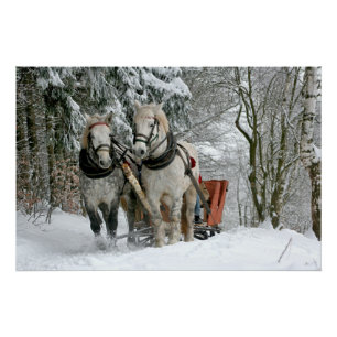 Sleigh Ride in Winter Wonderland Perfect Poster