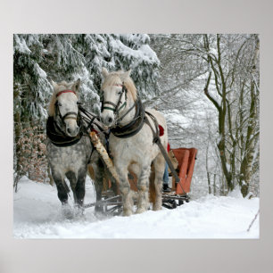 Sleigh Ride in Winter Wonderland Poster