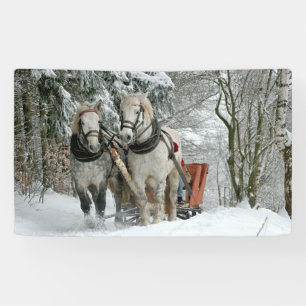 Sleigh Ride in Winter Wonderland Spandoek